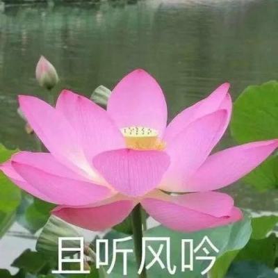 深圳感染者高度同源 卫健委认为社区传播可能性不大